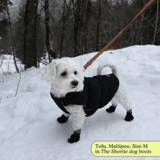 The Shortie All Season Dog Shoes / Boots