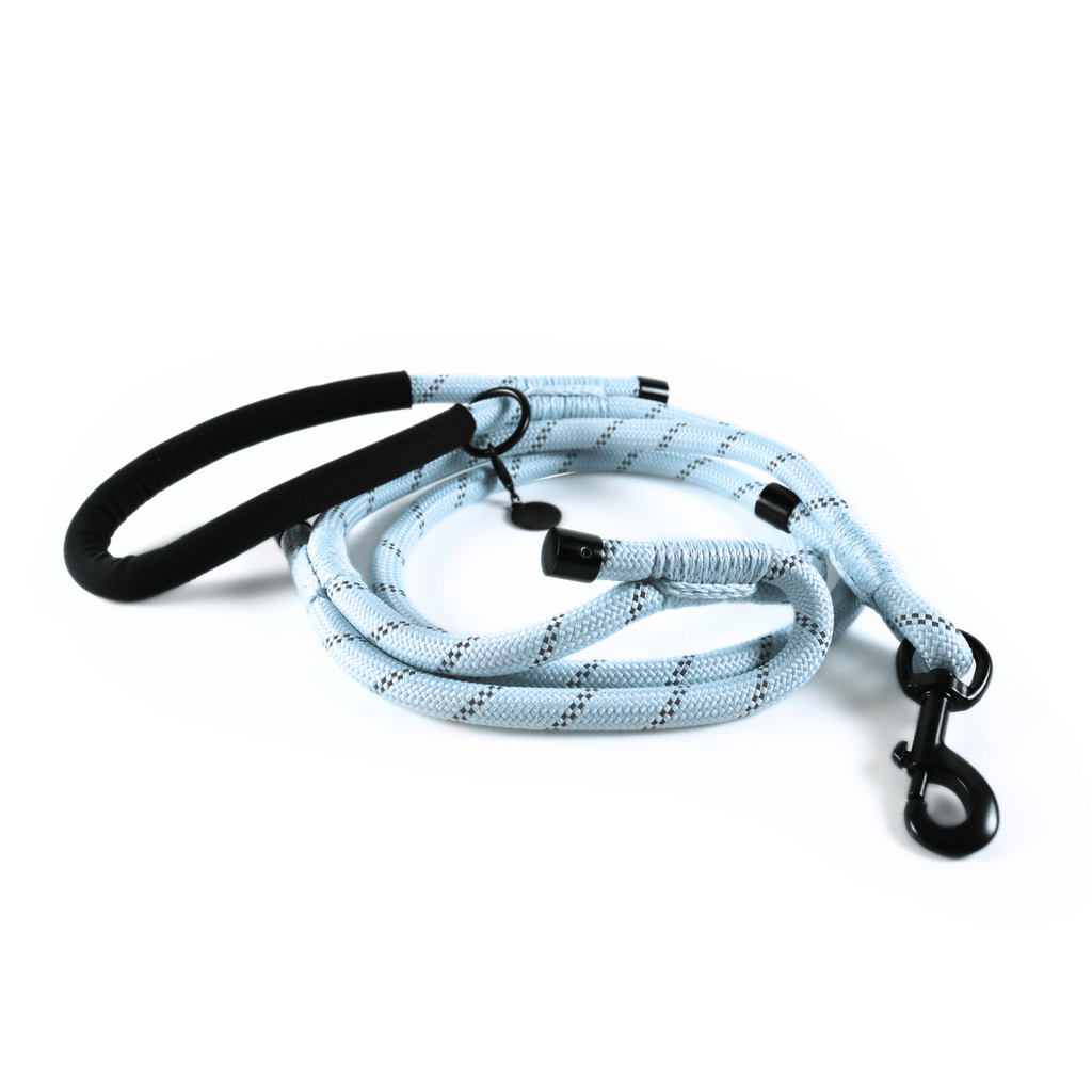 The Noodle Rope Leash with Traffic Handle Misty Blue