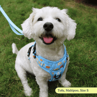 No-Pull Harness with Traffic Handle | Say Cheese