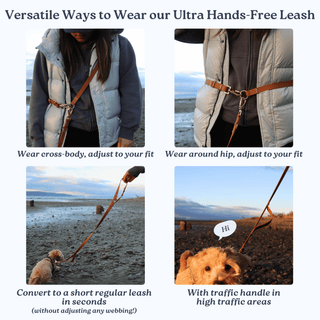 The Ultra Hands Free Leash with Traffic Handle | Camel Brown