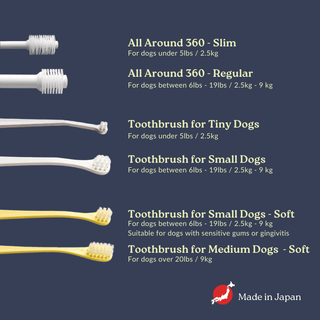 All Around Toothbrush | Slim