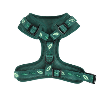The Cushion Comfort Harness | Outdoor Pal