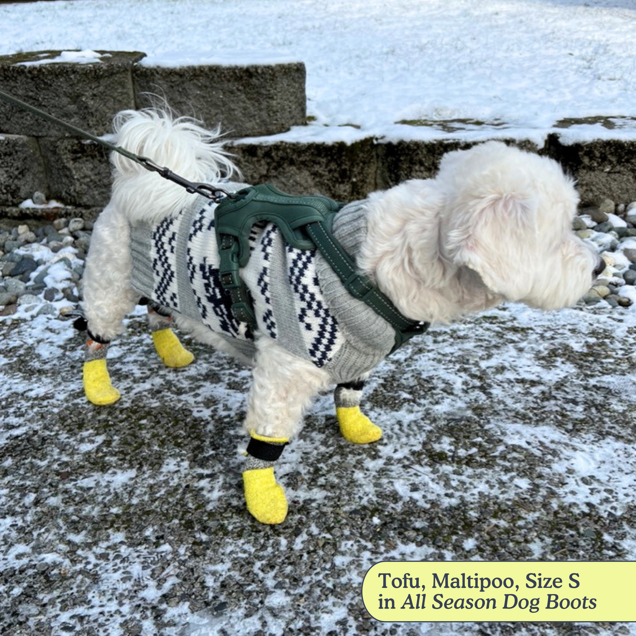 thumbnail image 2 of Ultra Comfort Dog Boots - All Season Protection For Rough Terrain (2-Pack) 2 of 14