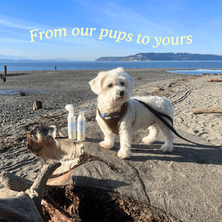 Ultrawoof Paw Cleanser Set