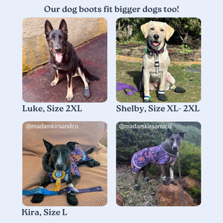 The Shortie All Season Dog Shoes / Boots