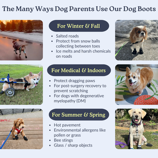 The Shortie All Season Dog Shoes / Boots