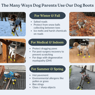 All Season Dog Shoes / Boots